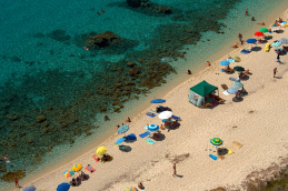 mare