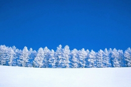 snow