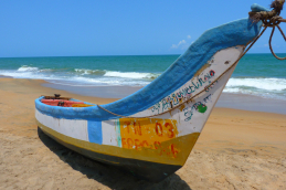 beach 51956