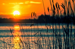 lake 696098
