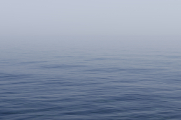 water 768745