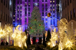 albero natale new
