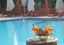 6 HOTEL POGGIO DEGLI ULIVI NUOVE
