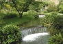 3 Ninfa