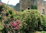 4 Ninfa