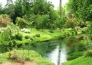 5 Ninfa