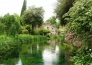 6 Ninfa