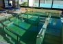 5 HOTEL TERME SOLE   ABANO TERME