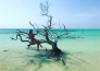 4 TOUR CUBA
