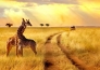 1 ROMANTICO SUDAFRICA