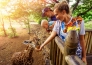 5 ROMANTICO SUDAFRICA