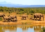 6 ROMANTICO SUDAFRICA