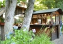 8 HOTEL SICHI   CUTIGLIANO