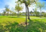 CAMPING VILLAGE PAESTUM   EBOLI 18