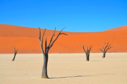 LE MERAVIGLIE DELLA NAMIBIA 1