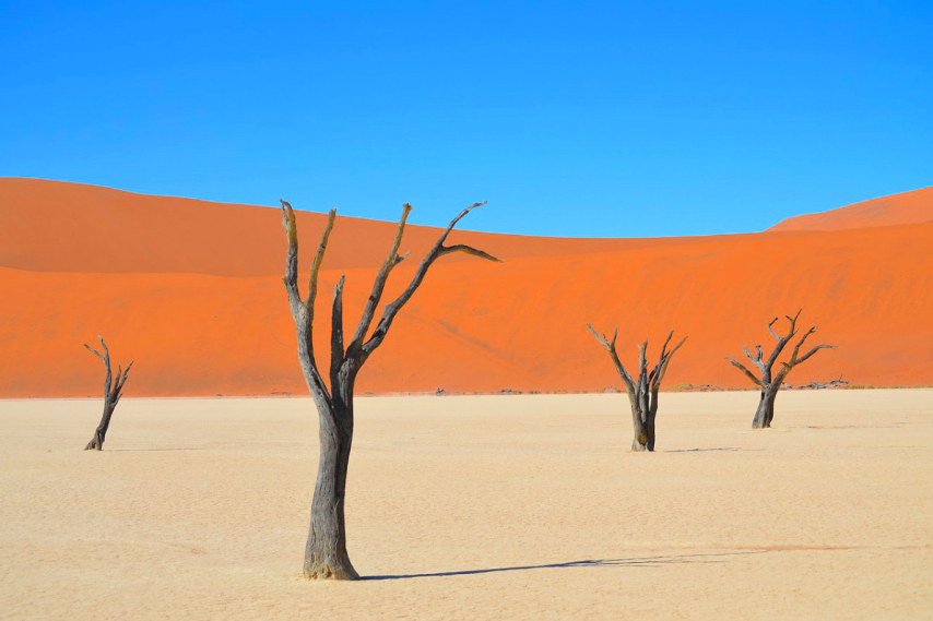 LE MERAVIGLIE DELLA NAMIBIA 1