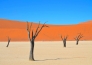 LE MERAVIGLIE DELLA NAMIBIA 1
