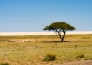 LE MERAVIGLIE DELLA NAMIBIA 6