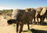 LE MERAVIGLIE DELLA NAMIBIA 15