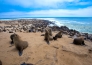 LE MERAVIGLIE DELLA NAMIBIA 24