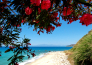 SAN DOMENICO BEACH VILLAGE 00