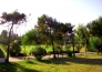 VILLAGGIO CAMPING LA GINESTRA CLUB 04