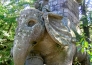 Bomarzo e Viterbo 13