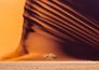 LE MERAVIGLIE DELLA NAMIBIA 37