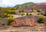 TOUR DELLA SICILIA ORIENTALE 18
