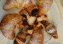 Albergo La Conchiglia 13