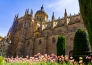 SPAGNA DA MADRID A SANTIAGO 11