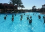 Charmillion Sea Life   Sharm El Sheikh 03