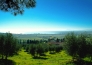 2 ANTICO CASALE DI MONTEGUALANDRO