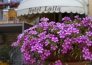 Hotel Lalla  Cervia 01