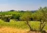 COLLEVALENZA E TODI 02