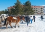 26 MAGNOLA PALACE INVERNO NUOVE