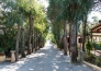 Villaggio Leucosia Camping Club 03