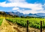 16 romantico sud africa