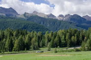 hotel stella alpina   bellamonte 00