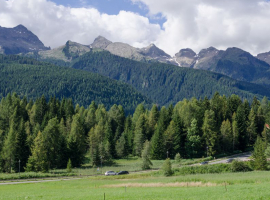 hotel stella alpina   bellamonte 00