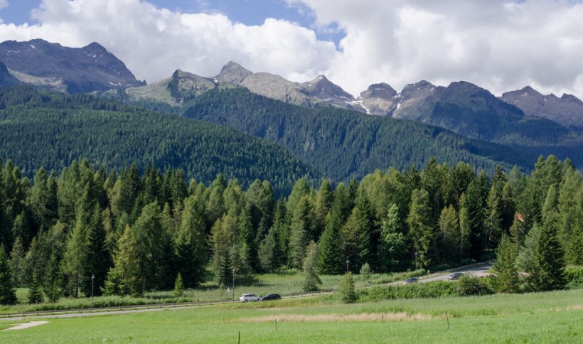 hotel stella alpina   bellamonte 00