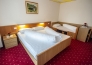 hotel stella alpina   bellamonte 14