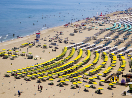 hotel orchidea   rimini 00
