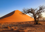 tour namibia classica 04