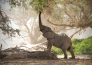 tour namibia magico deluxe 26