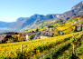 trentino alto adige 14