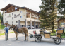 hotel steger dellai   alpe di siusi 02