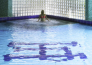 park hotel   albano terme 10