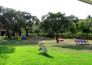 li suari club village NEXUS   San Teodoro 07