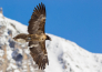 5 TOUR VALLE D AOSTA